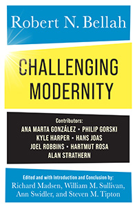 book cover for Challenging Modernity